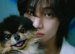 V (BTS) được ca ngợi là biểu tượng sắc đẹp toàn cầu