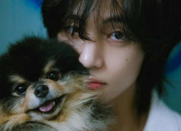 V (BTS) được ca ngợi là biểu tượng sắc đẹp toàn cầu