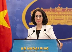 Việt Nam trao công hàm phản đối lệnh cấm đánh bắt cá của Trung Quốc trên Biển Đông
