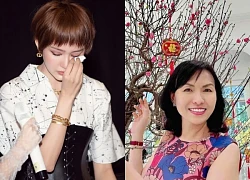 Hiền Hồ mất sự nghiệp, khó ngóc đầu, vợ CEO nương tựa "xử" quá cao tay?