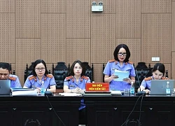 Vụ 'tuồn' đất hiếm sang Trung Quốc: Chủ tịch Công ty Thái Dương phải nộp 736 tỉ