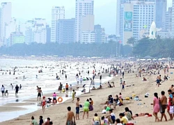 Xuất hiện sứa lửa gây nguy hiểm tại nhiều bãi tắm ở biển Nha Trang