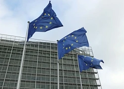 Ấn Độ và Pakistan 'cầu viện' EU để giải quyết xung đột theo những cách khác nhau