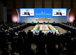 APEC giải các bài toán về thương mại