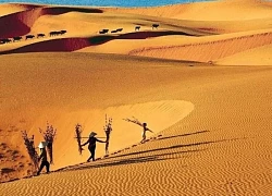 Báo Tây gợi ý điểm đến đẹp nhưng kín tiếng ở Việt Nam