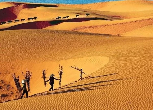 Báo Tây gợi ý điểm đến đẹp nhưng kín tiếng ở Việt Nam