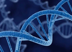 Bệnh nhân đầu tiên được điều trị bằng kỹ thuật chỉnh sửa gene cá nhân hóa