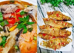 Các món ngon từ cá mó ăn ngon tròn vị, dễ làm tại nhà