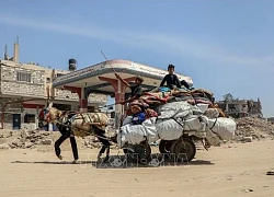 Các phe phái Palestine đàm phán trực tiếp, chuyên sâu với Hamas