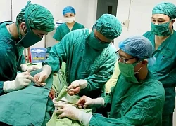 Cành cây dài 20cm nằm trong lồng ngực cụ bà suốt 2 năm