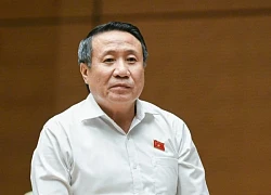 Đề xuất doanh nhân phạm tội được tại ngoại để điều hành doanh nghiệp
