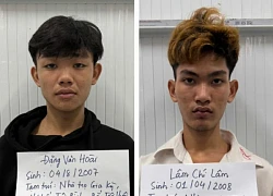 Đòi nợ bằng cách cướp tài sản, hai đối tượng bị bắt