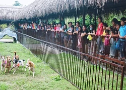 Du lịch hè ở Cần Thơ
