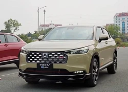 Thị trường xe hybrid Việt ngày càng đa dạng, Toyota vẫn 'thống trị'