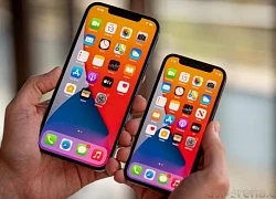 Giá iPhone 12, iPhone 12 Pro Max mới nhất giảm giá sốc, rẻ không ngờ, xịn chẳng kém iPhone 16, xứng danh 'vua màn OLED' về giá