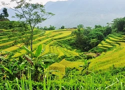 Hành trình kết nối xanh: Pù Luông, bình yên và thơ mộng
