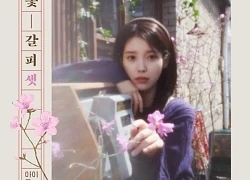 IU phát hành album remake đầu tiên sau 8 năm