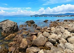 Khám phá Mũi Vi Rồng, tuyệt tác thiên nhiên kỳ vĩ của Bình Định