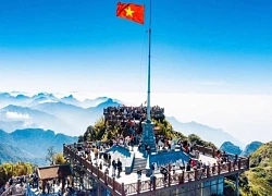 Lạc bước vào thiên đường hoa hồng trên đỉnh Fansipan