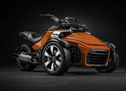 Mẫu xe ba bánh Can-Am Canyon dành cho địa hình khó