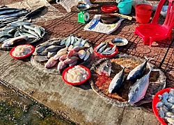 Mẹ mù chữ, bán cá ở chợ, nhưng dạy tôi những bài học vô giá