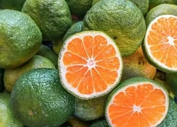 Mùa hè, uống nước cam vào thời điểm này để thải độc gan, cải thiện tiêu hóa và tăng cường miễn dịch