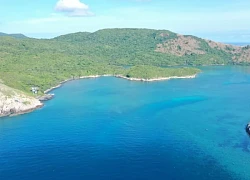 Ngỡ ngàng vẻ đẹp vịnh Đầm Tre mùa rong mơ