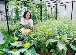 Người phụ nữ ở Sơn La biến khu đất 200m2 ngập rác thành vườn sum sê rau trái