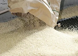 Nhật Bản lên kế hoạch tăng gần gấp đôi nguồn cung gạo dự trữ
