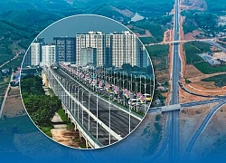 Những con số giật mình trong vụ án Tập đoàn Thuận An