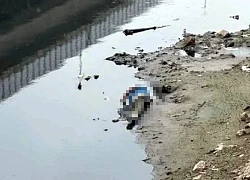 Phát hiện thi thể người đàn ông trên sông Tô Lịch