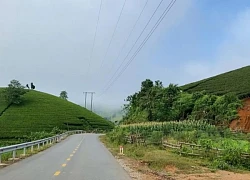 Sẵn sàng cho mùa du lịch hè 2025: 'Phú Thọ - Đi để yêu'