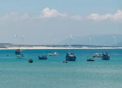 Sống như người bản địa ở làng chài Quy Nhơn mùa đẹp nhất năm