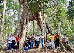 Trải nghiệm mới lạ với du lịch xanh