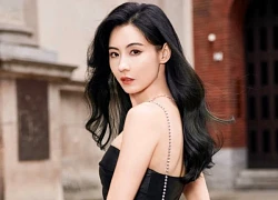 Trương Bá Chi tốt thế nào mà Tạ Đình Phong khen hết lời, bố chồng để lại cho 90% tài sản?