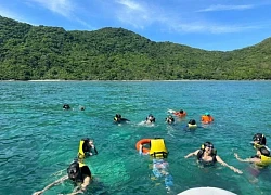 Vào hè, đến Côn Đảo lặn biển ngắm san hô