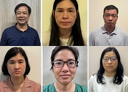 Vì sao vợ chồng Chủ tịch HĐQT Công ty Hoàng Long bị khởi tố?