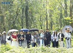 Xanh hóa các khu di tích