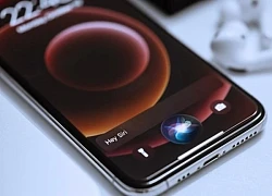 Apple sắp cho Siri 'về vườn' sau hơn một thập kỷ?