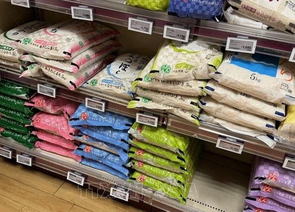 Bộ trưởng Nông nghiệp Nhật Bản xin lỗi về phát ngôn giữa 'cơn bão giá gạo'