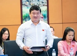 Bỏ tử hình với tội tham ô, nhận hối lộ, sẽ "hy sinh đời bố củng cố đời con"