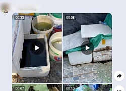 Cả chung cư phát hoảng vì thứ mùi kinh khủng, khi tìm ra nguyên nhân ai cũng phải lắc đầu ngao ngán!