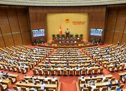 Chính phủ đề xuất bỏ hình phạt tử hình với 8 tội danh