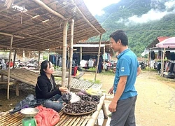 Cuối tuần thăm chợ phố Đoàn