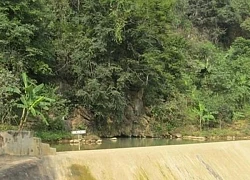 Độc đáo suối cá thần Văn Nho