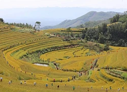 Du khách thích thú trước vẻ đẹp của ruộng bậc thang ở Hòa Bình