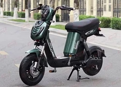 Giá xe đạp điện Kazuki nửa cuối tháng 5/2025