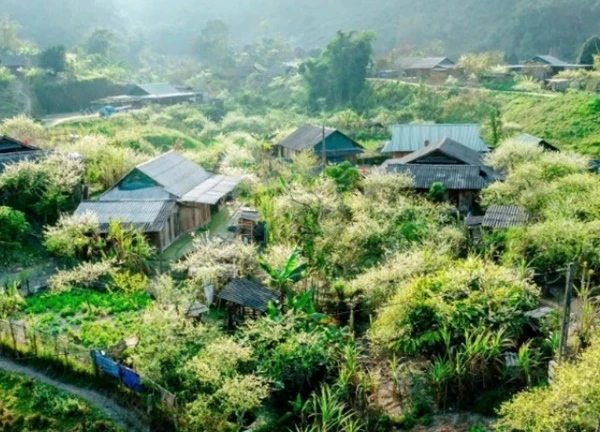 Giấc mơ trên "cổng trời" Mường Lống (Nghệ An)