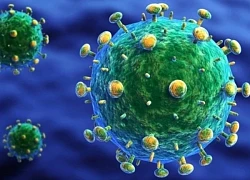 Giải mã gen chống HIV: Dấu vết di truyền 9.000 năm từ vùng Biển Đen