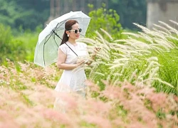 Giới trẻ đổ xô đi check-in với bãi cỏ lau dưới chân cầu Long Biên